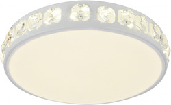 Настенно-потолочный светильник Akacia H843-0